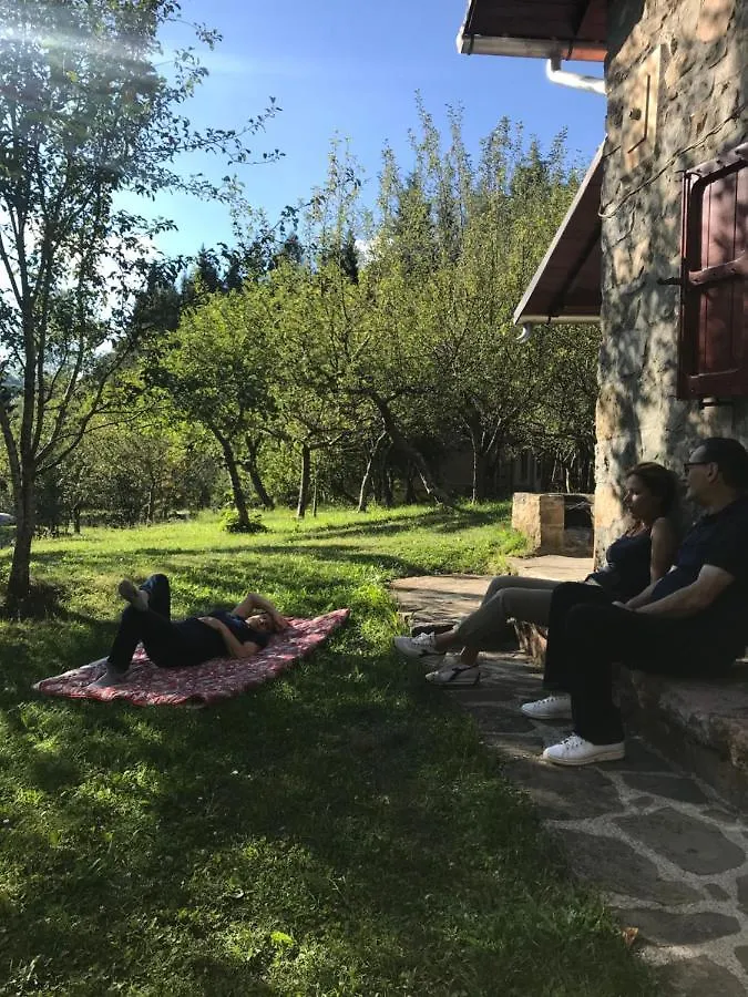 Holiday House Casini Di Corte Corfino Chalet