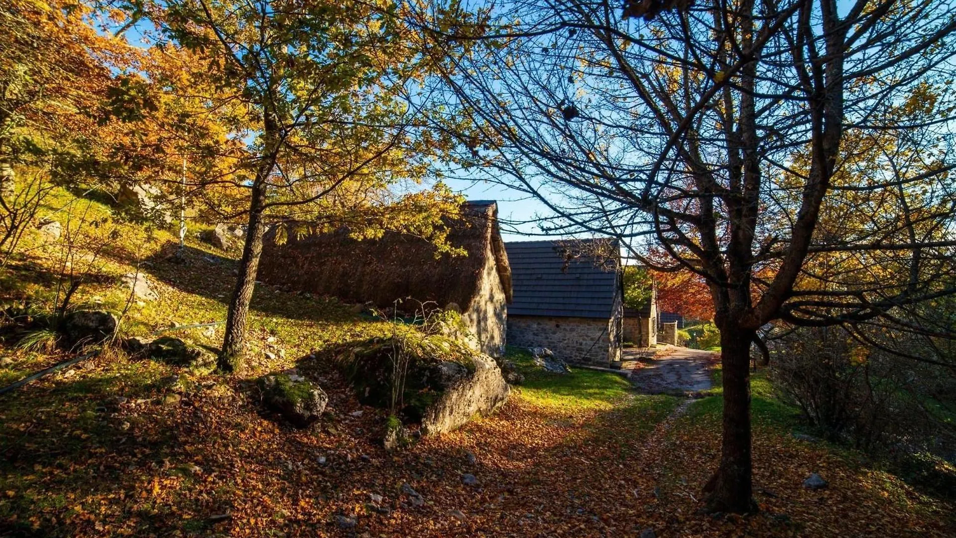 Chalet Holiday House Casini Di Corte Corfino